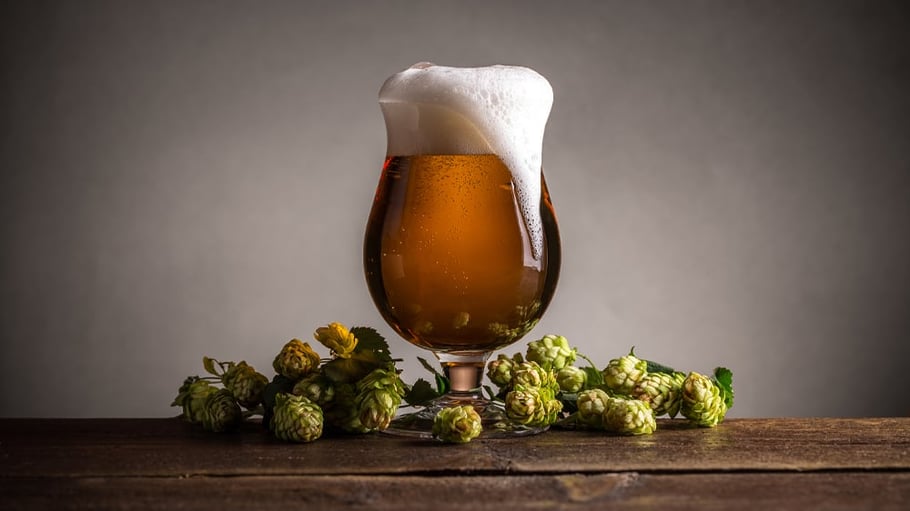 Beer in a glass with hops